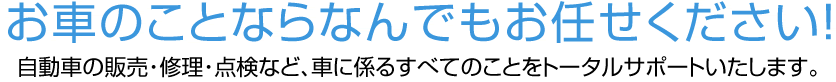 お車のことならなんでもお任せください！自動車の販売・修理・点検など、車に係るすべてのことをトータルサポートいたします。